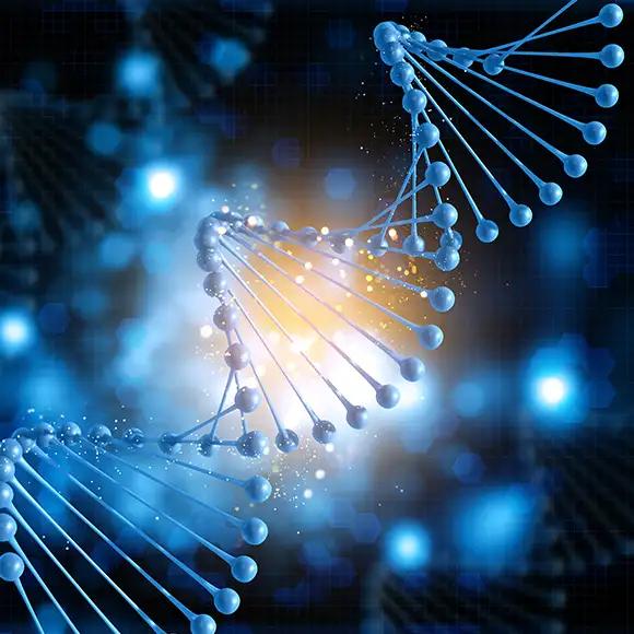 The Science Behind BioXtek’s